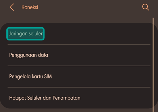Opsi Jaringan Seluler di HP