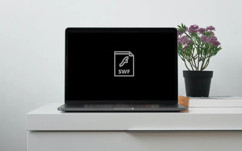 Cara Buka SWF