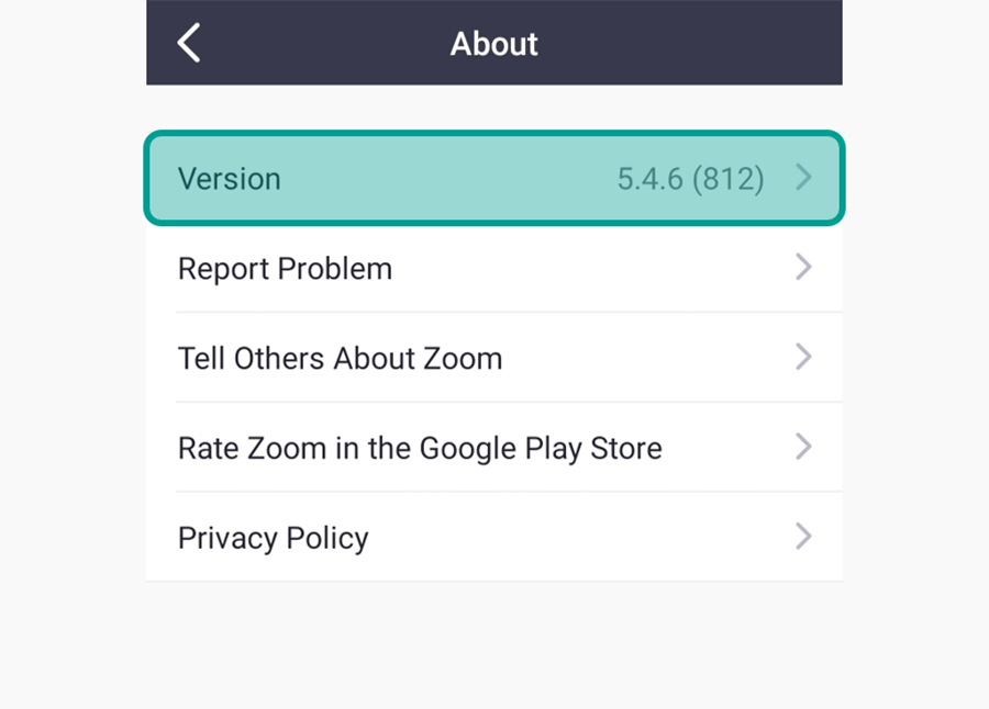 Menu Version di Aplikasi Zoom HP