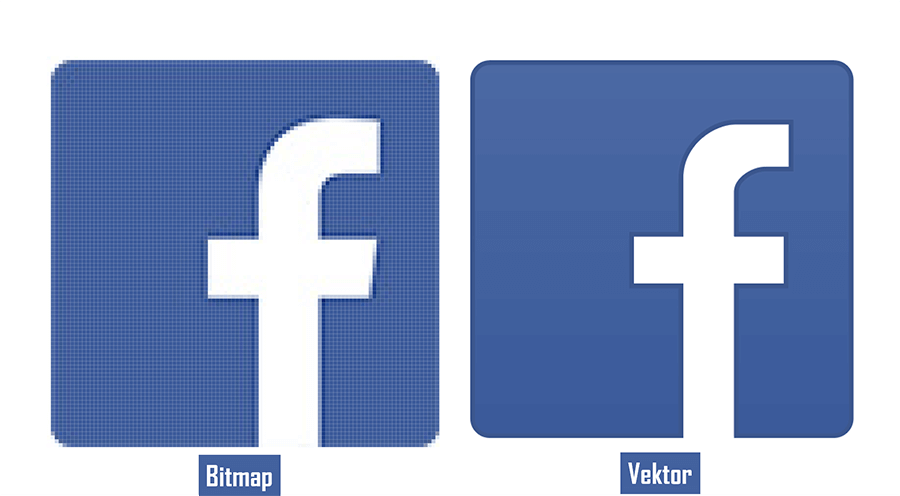 Contoh Beda Bitmap dan Vektor
