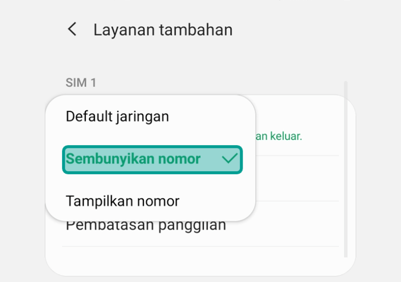 Opsi Sembunyikan Nomor