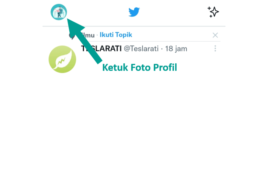 Menu Foto Profil Twitter