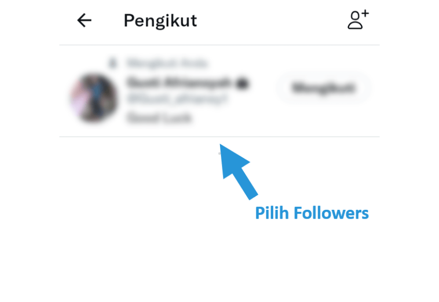 Pilih Follower Twitter