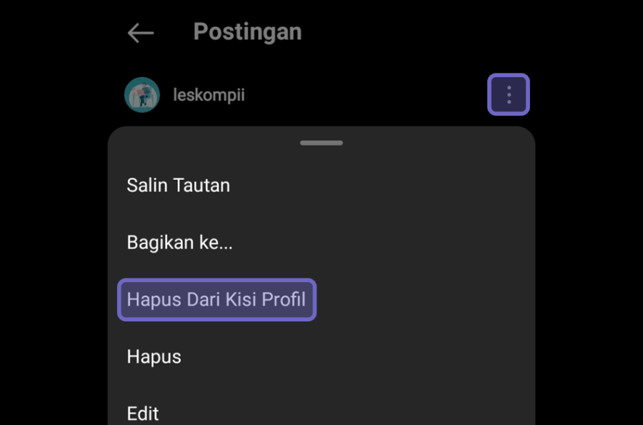 Opsi Hapus Dari Kisi Profil