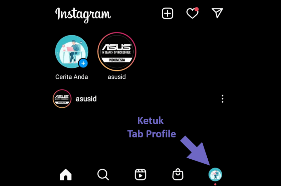 Tab Profil Instagram
