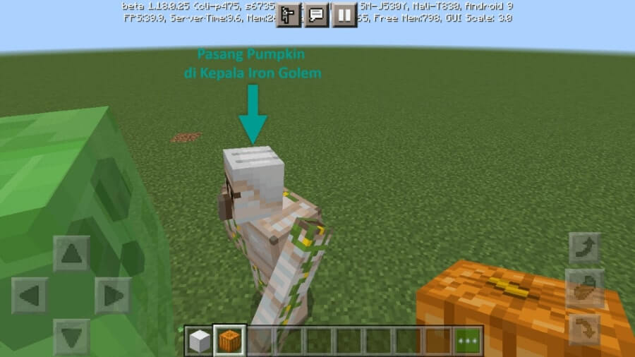 Memasang Pumpkin di Iron Golem