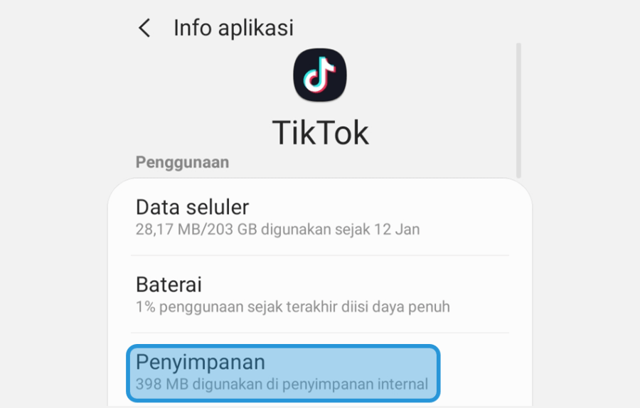 Menu Penyimpanan TikTok