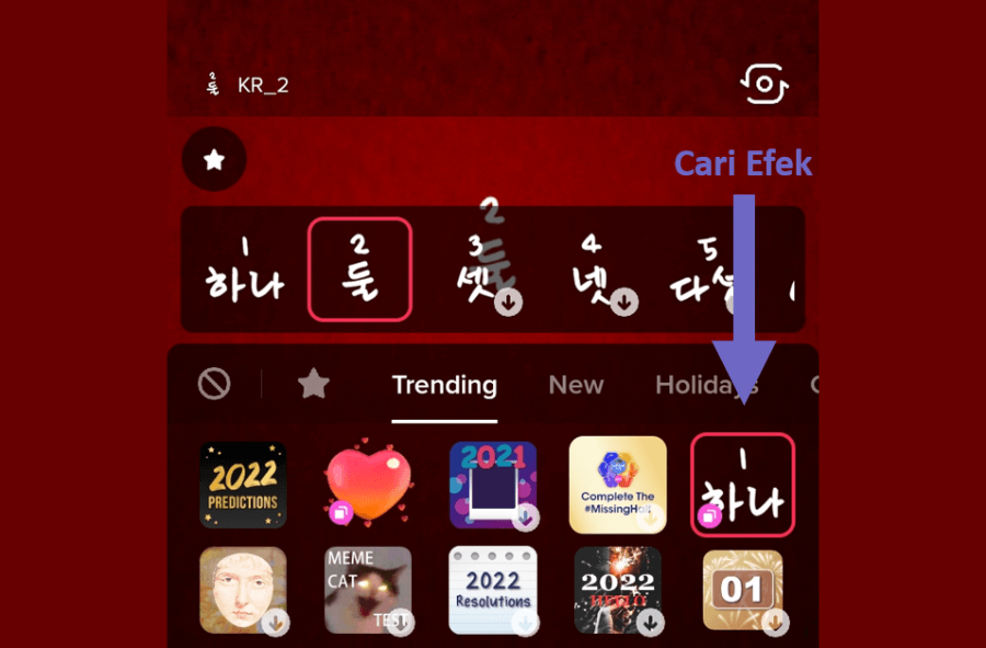 Contoh Mencari Efek TikTok