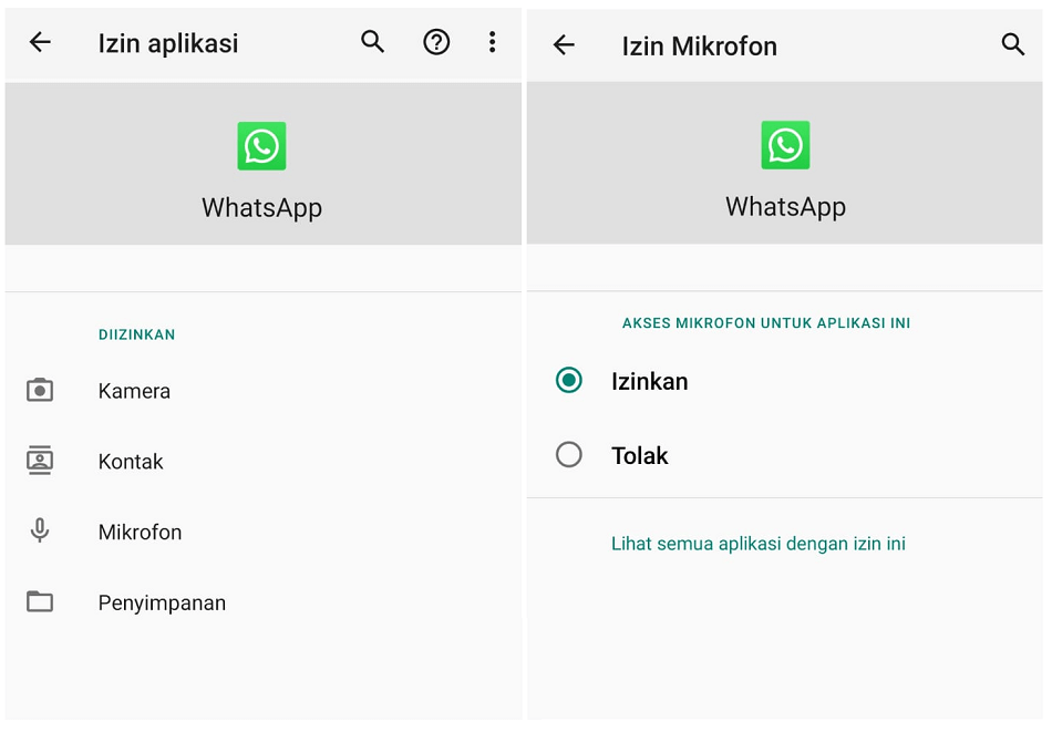 Izin Microphone di WA