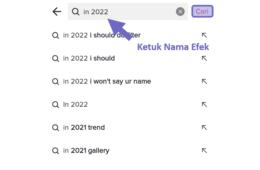 Ketik Nama Efek di TikTok