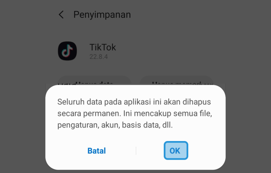 Lakukan Konfirmasi Hapus Data TikTok
