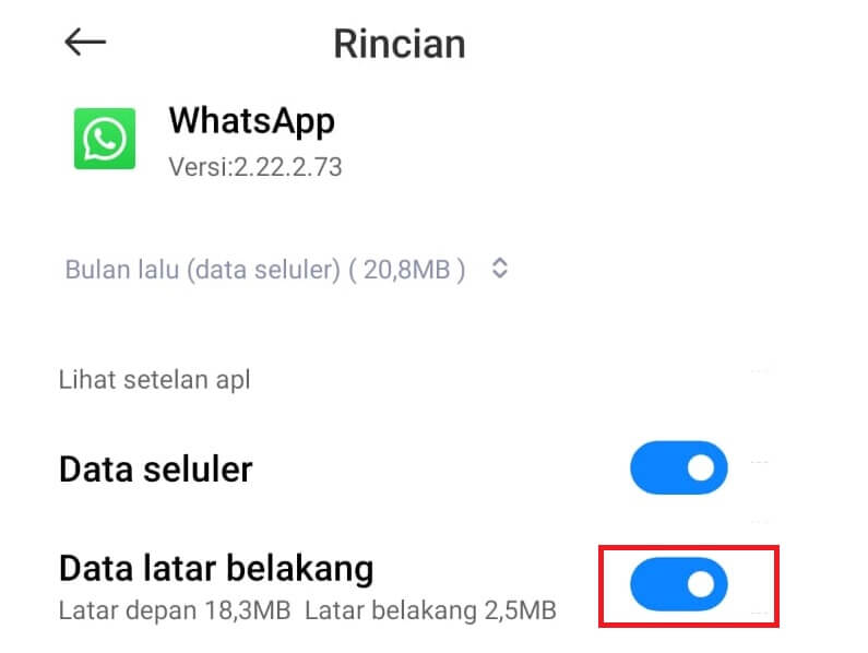 Aktifkan Menu Data Latar Belakang WA