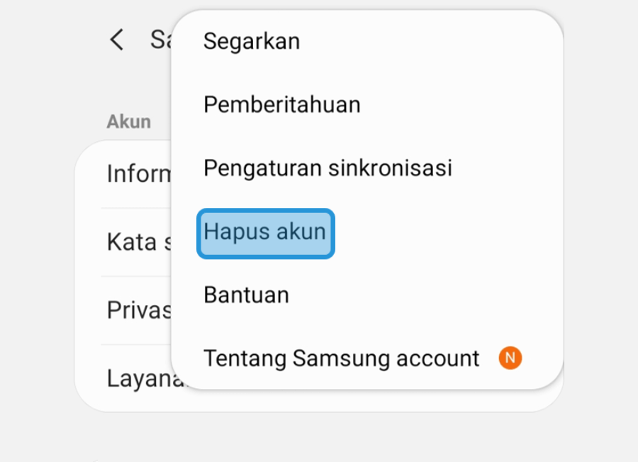 Opsi Hapus Akun Samsung