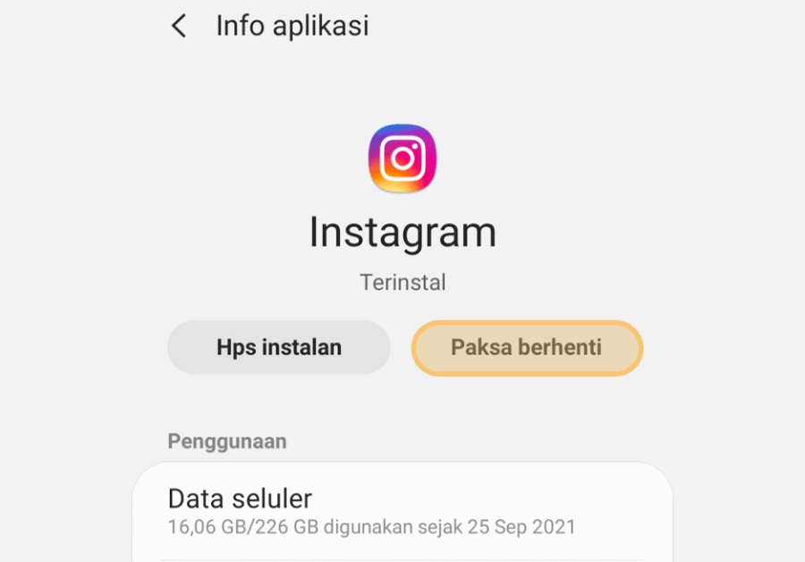 Mulai Paksa Berhenti Aplikasi Instagram