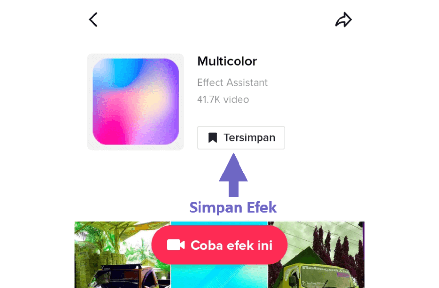 Simpan Efek Video TikTok