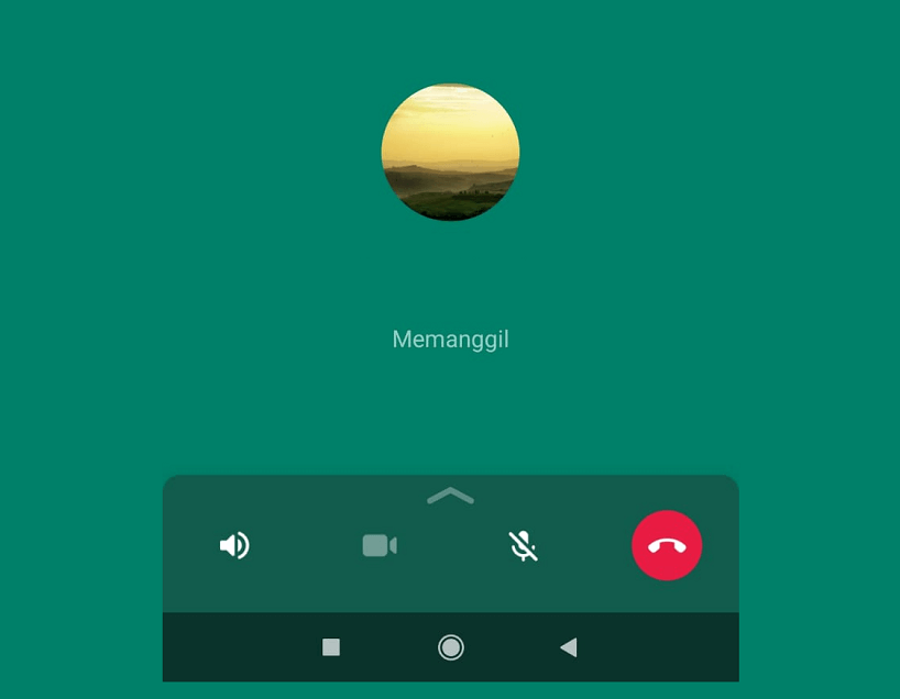Opsi Microphone di WhatsApp