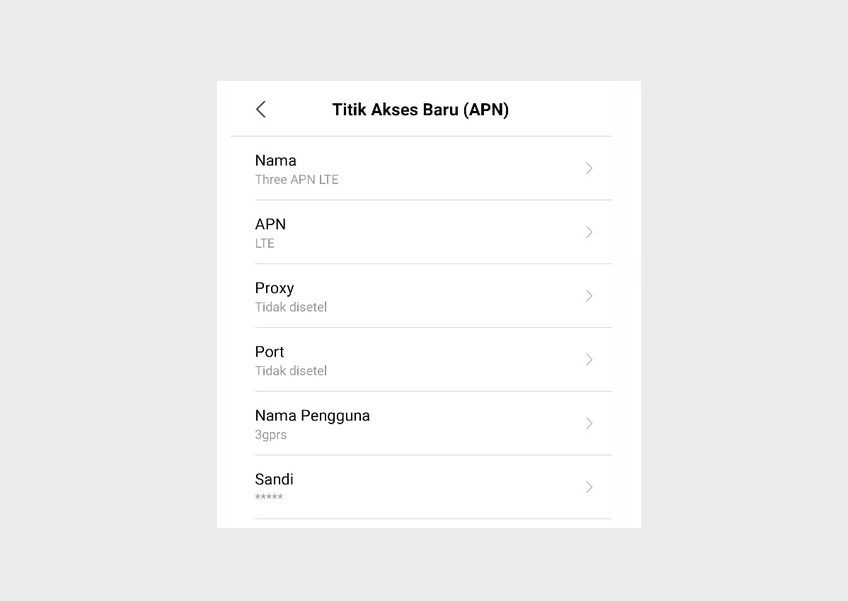 APN Three LTE