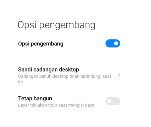 Aktifkan Mode Pengembang di HP