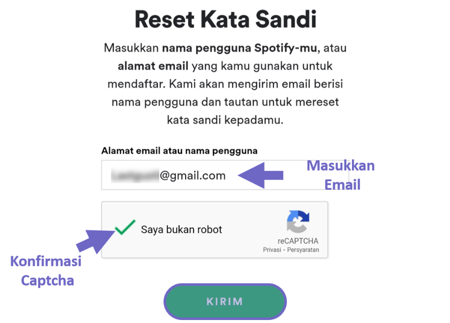 Masukkan Email Akun yang Lupa Password di Spotify