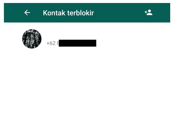 Menu Kontak Terblokir di WhatsApp