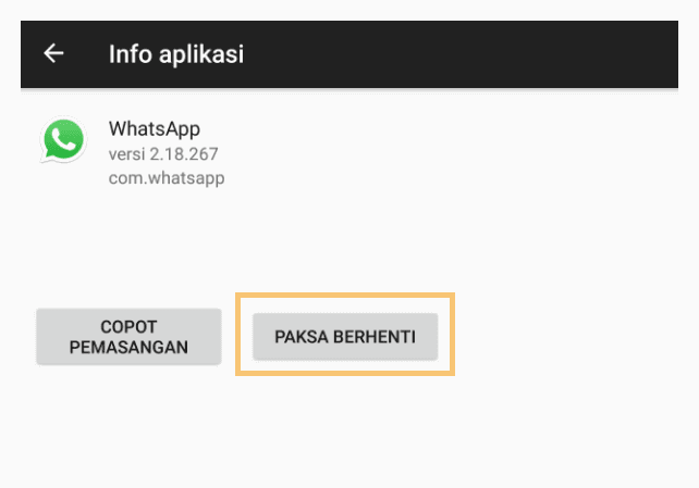 Opsi Paksa Berhenti Aplikasi WA