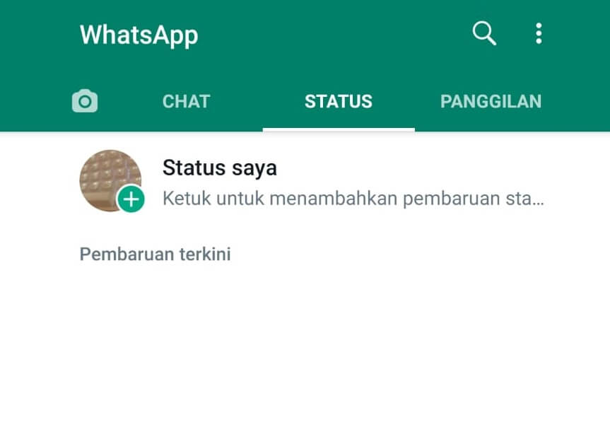 Penyebab Story di WA Tidak Muncul