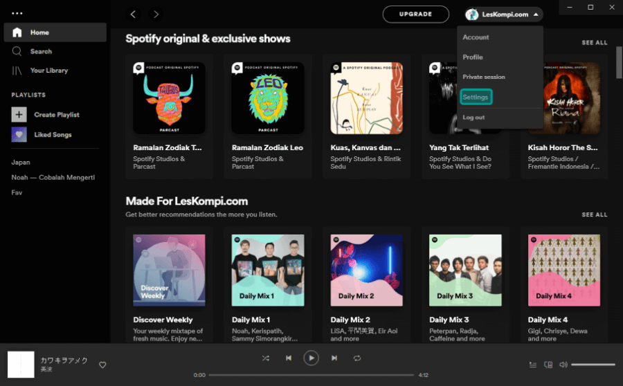 Menu Settings Spotify