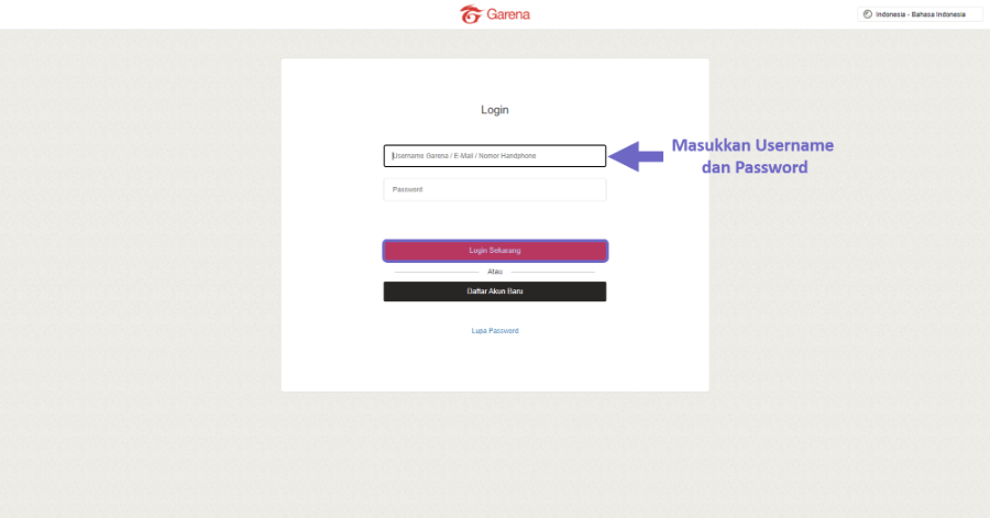 Isi Email dan Username Garena