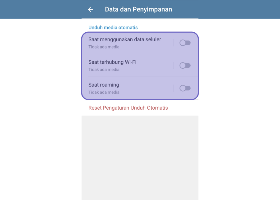 Nonaktifkan FItur Auto Download