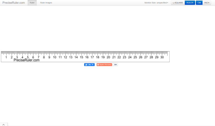 Penggaris Virtual Preciseruler