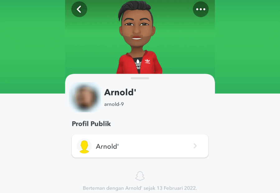 Contoh Pertemanan Snapchat Dikonfirmasi