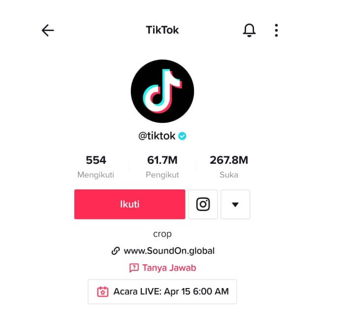 Contoh ID TikTok