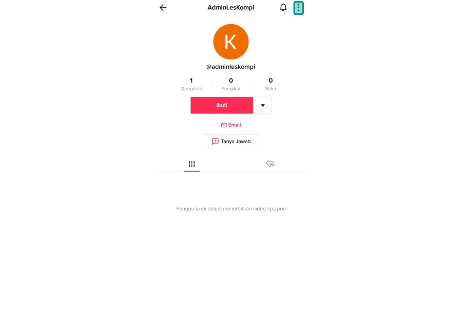 Icon More Options TikTok