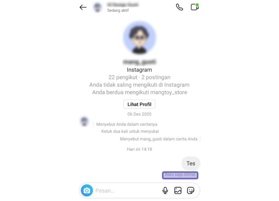 Cek Kapan Pesan Dibaca Instagram