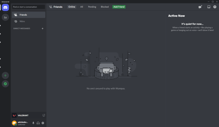 Berhasil Login Discord PC