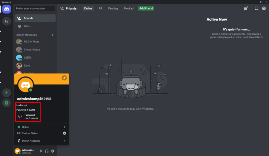 Status Discord Berhasil Diaktifkan