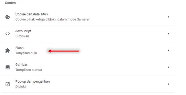 Ekstensi Flash Chrome