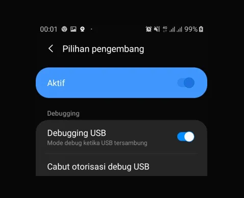 Menu Debugging USB