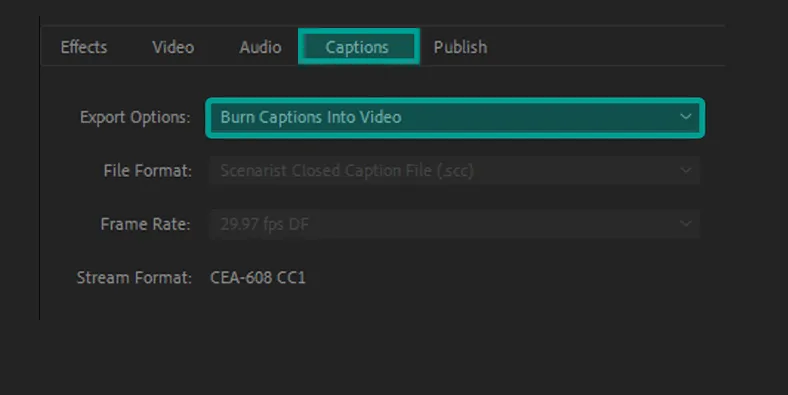 Menu Export Premiere
