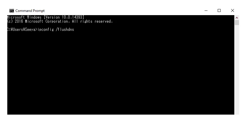 Menu Flush DNS