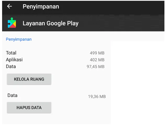 Hapus Data Google Play