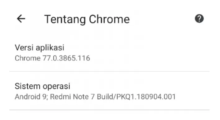 Menu Tentang Chrome