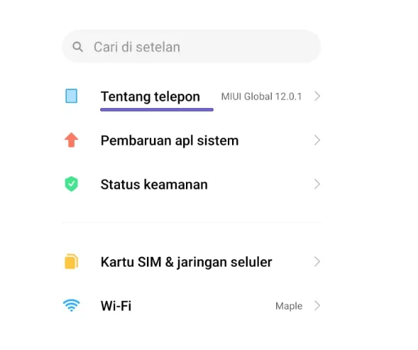 Menu Tentang Ponsel