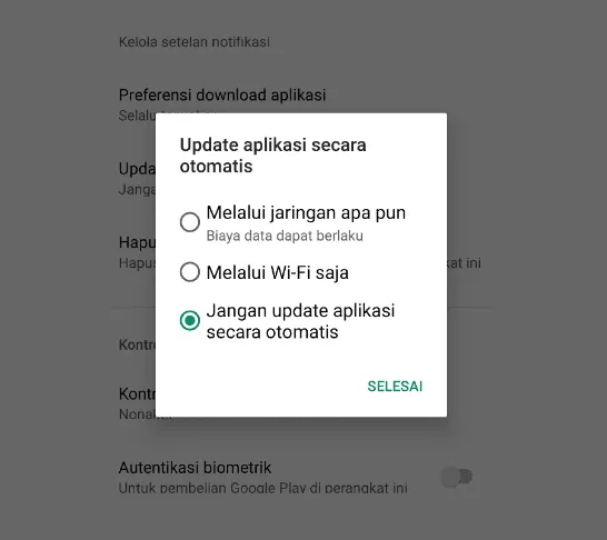 Opsi Update Playstore
