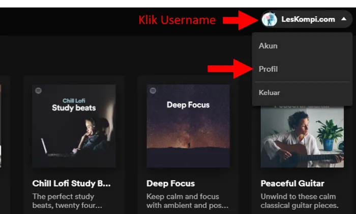 Kolom Menu Profil Spotify