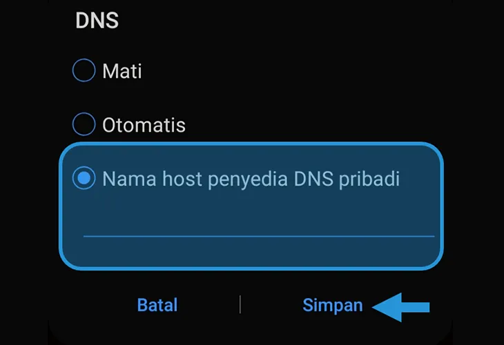 Isi data DNS