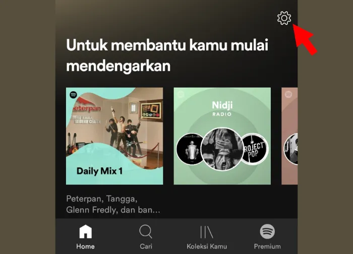 Menu Pengaturan Spotify