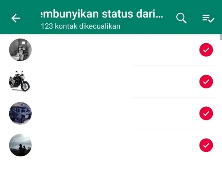 Menu Setting Status di WhatsApp