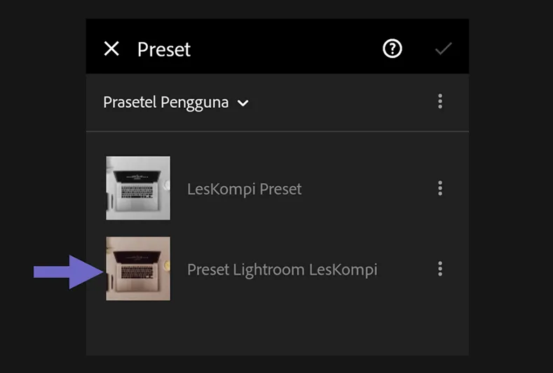 Mengecek Hasil Import Lightroom
