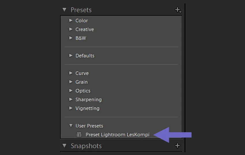 Contoh Cek Preset Lightroom PC